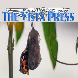 Vista Press: Growing Butterflies in Our Gifts Shop